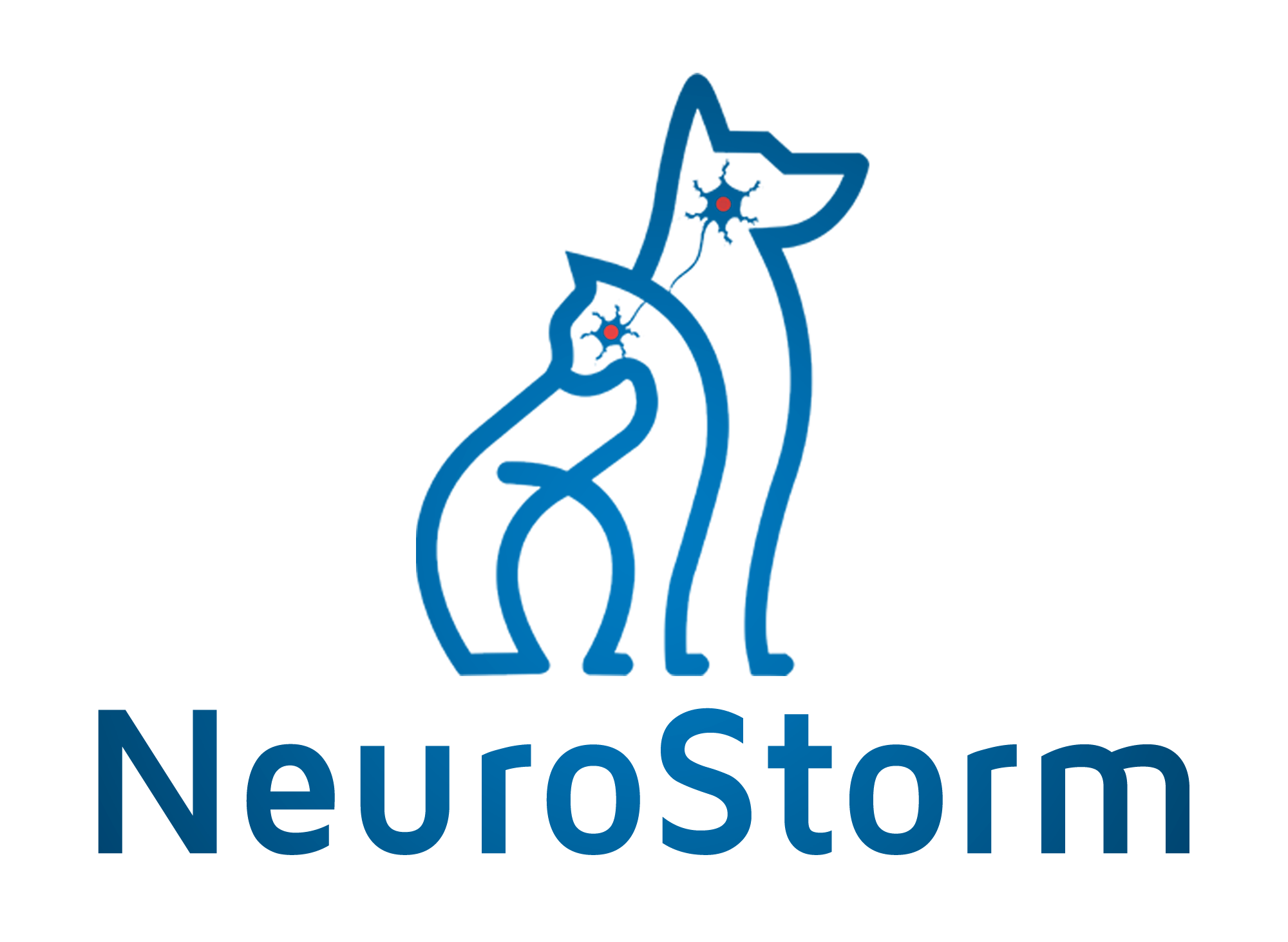 NeuroStorm